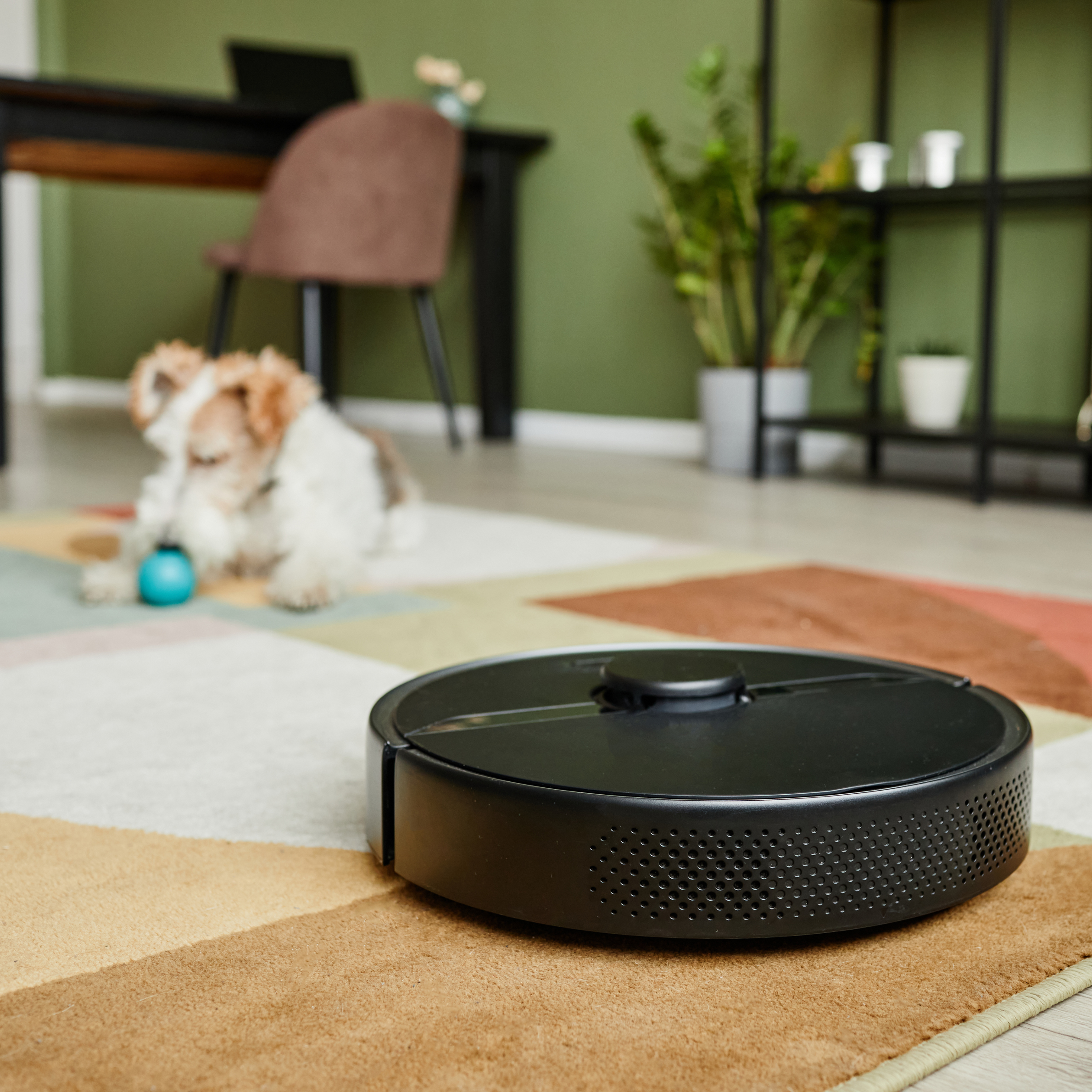 CalTel WiFi Connections Robot vacuum cleans the floor with a dog in it's path.